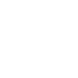 The Vital 5 logo