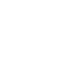 The Vital 5 logo